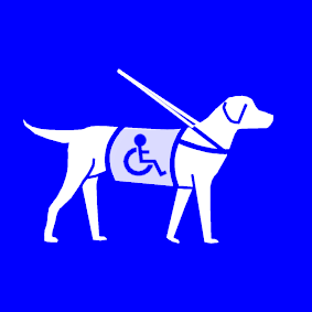 chien d'aide